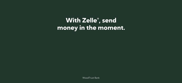 Zelle Home Page – Mobile Graphic